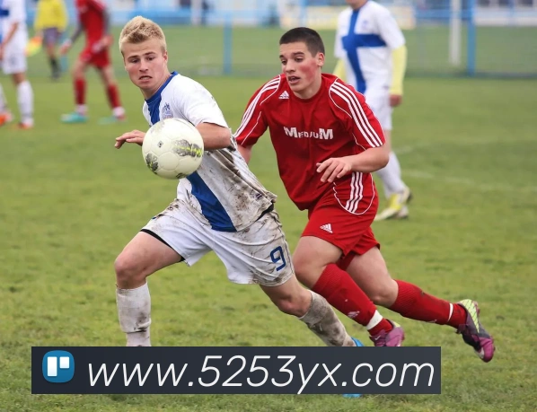 战术分析频道